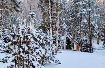 Bobrowa Ostoja - Photo 35