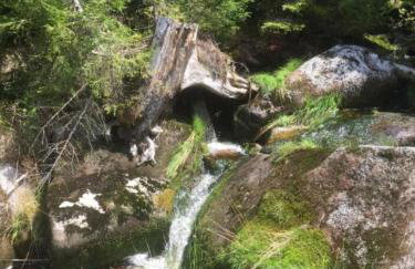 Apartmán Frauenberg - Haidmühle - Foto 30