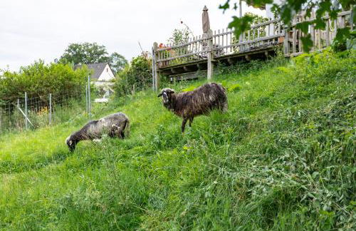 Ferienwohnung Am Quellental - Foto 16