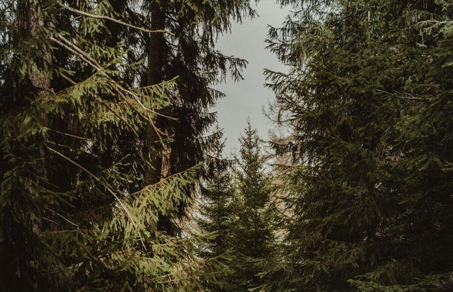 Heart of a Modern Retreat - Foto 20