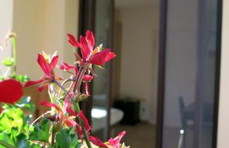 Agriturismo Deviscio - Photo 10