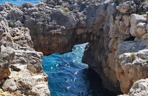 Flora Plemmirio Home - Foto 34