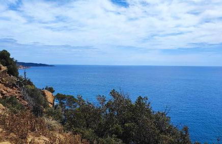 Espiga, Cala privada Tossa de Mar - Foto 24