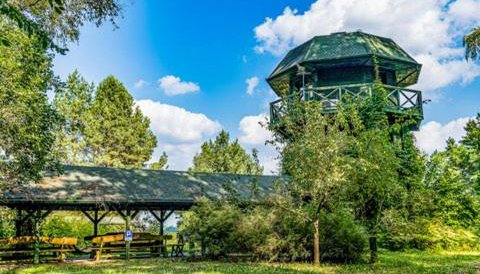 wietrzna wieża - Foto 3