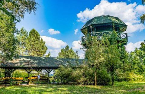 wietrzna wieża - Foto 3