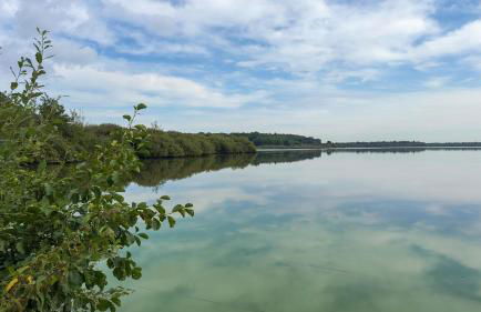 See Oase Bad Bederkesa - Foto 18