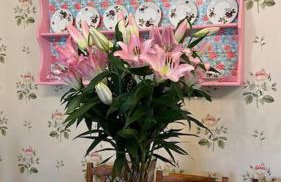 Annsborough House Castlewellan - Foto 47