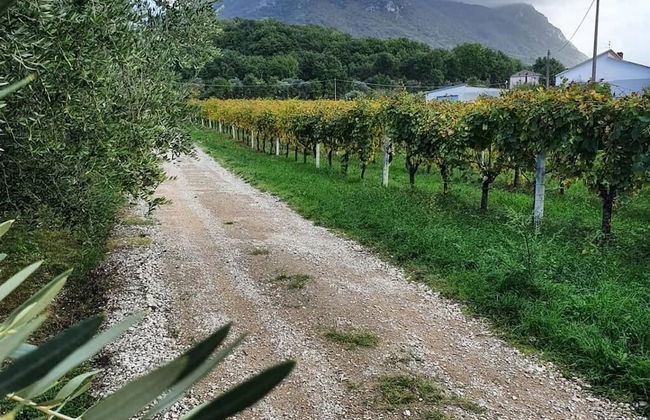 Unique Countryside Loft Room, Near Naples - Foto 16