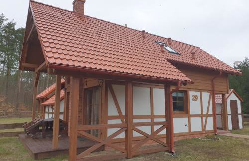 LEŚNY KĄCIK - Foto 44