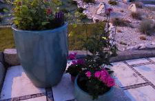 Villa Marta - Foto 6