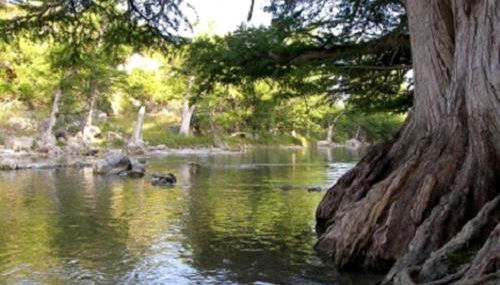 Cozy Cabin near the Gaudalupe River in Old Ingram Loop, Texas - Photo 5