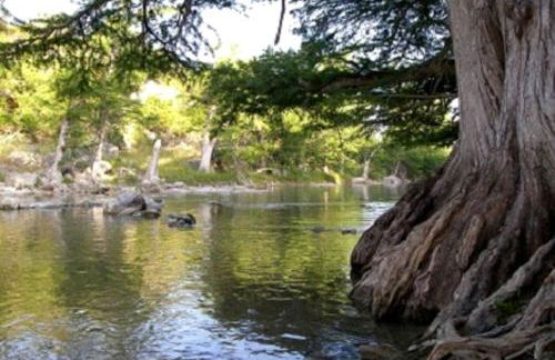 Cozy Cabin near the Gaudalupe River in Old Ingram Loop, Texas - Foto 5