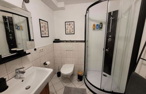 Rheinauszeit - Foto 13