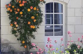 Le Gîte des Marguerites - Foto 7