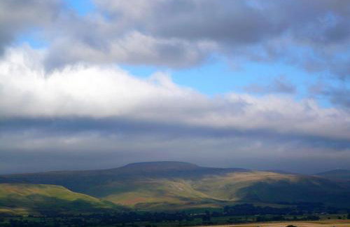 Black Dog House - Foto 40