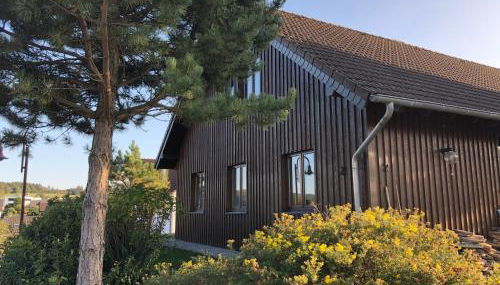 Waldhaus-Vulkaneifel - Foto 2