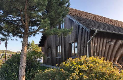 Waldhaus-Vulkaneifel - Foto 2