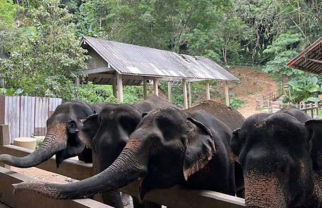 Ton Pling Khao Lak Villa - Photo 45