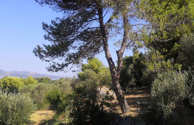 Seapine Studios - Foto 29