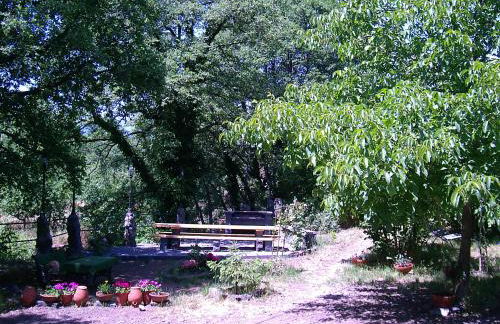 Cirasellaetna - Foto 9