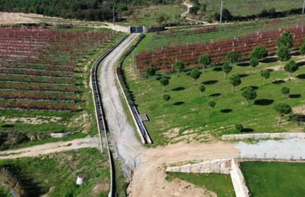 Quinta do Carregal - Foto 28