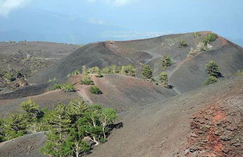 L'antico vicolo - Foto 70