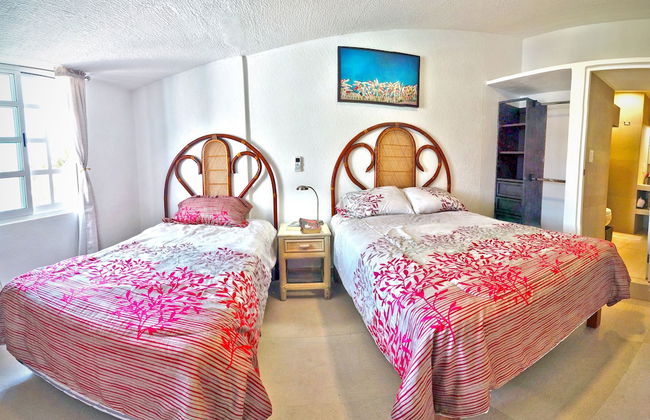 HominngBird - Foto 12