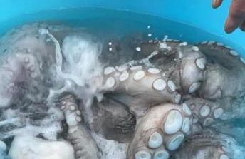 La casetta - casa vacanze - Foto 22