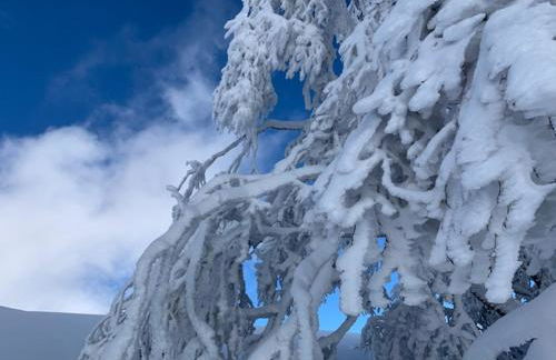 Le Case Nel Bosco Terminillo - Foto 36