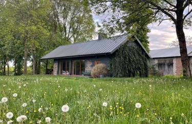 Domek w Wiśniewie - Foto 3