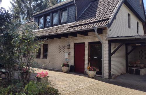 Olifant in Osterode - Foto 2