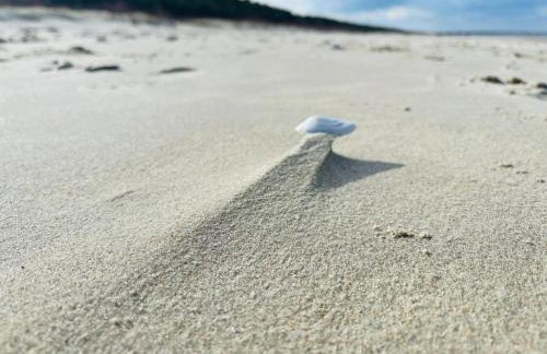 Domki Apartamentowe Orłówka - Photo 21