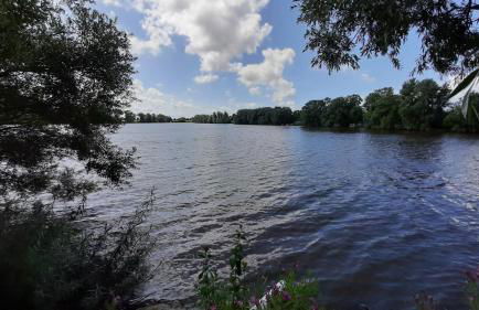 FeWo-Butze 3 Deichblick Strandnähe ca. 750m - Foto 5