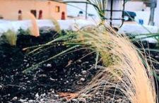 Finikas Cave House - Photo 16