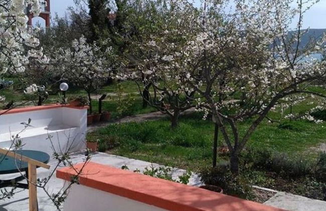 Your Perfect Adriatic Getaway - Photo 17