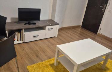 APT 2 Acollidor al Centre històric de Vic APTGARBI - Foto 15