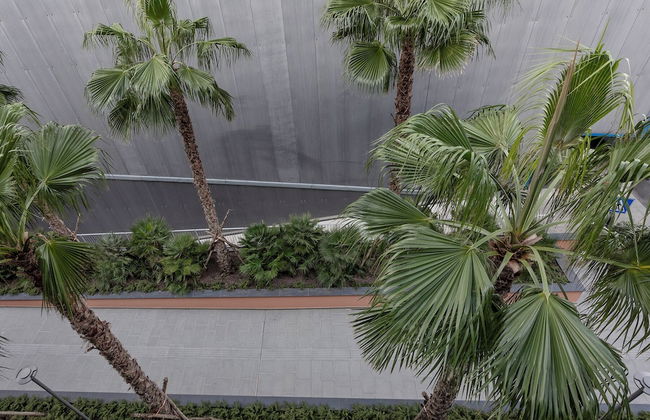 Waterfront Vibes by Wonderful Italy - Foto 11