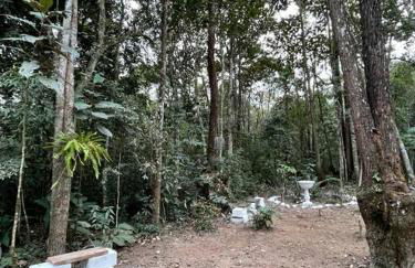 Bosque na Montanha Encantada - Foto 27