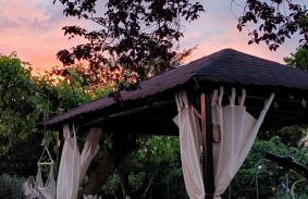 Eleocharis near Amfilochia & Amvrakikos Gulf - Foto 45