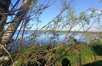 Casa Vacanze Nel Delta del Po - Foto 51