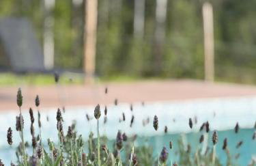 Recanto da C’Alma - Foto 4