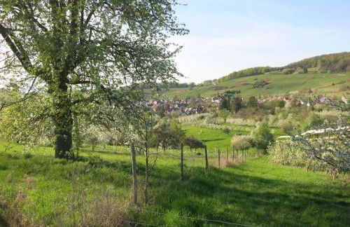 Holiday apartment with 1 bedroom - Foto 31