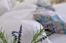 Apartmani Mirjana - Photo 28