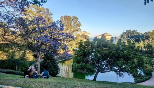 Apartamento Sun & Sea Views - Foto 3