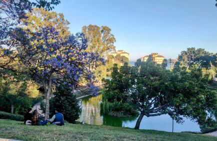 Apartamento Sun & Sea Views - Foto 3