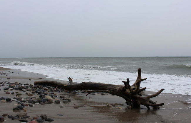 Ostseebrandung - Haus Seepferdchen - Foto 17