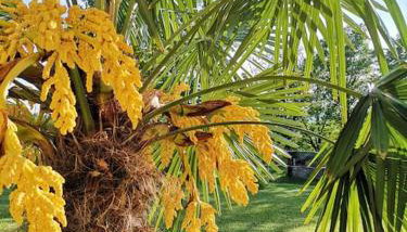 Haus MARE - entspannen & sonnenbaden - Foto 4, Garden