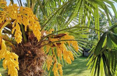 Haus MARE - entspannen & sonnenbaden - Foto 4