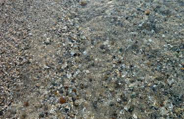 Beach next to the House Agni - Foto 13