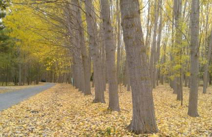 Molino del Machero - Foto 56